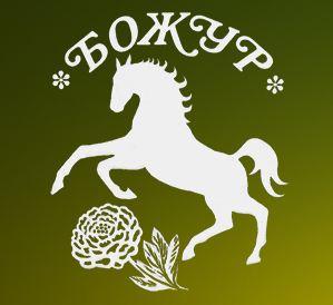 Клуб по коневъдство и конен спорт Божур - Снимка b_20111108110300121 